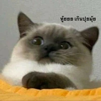 หมอแอดค้าบบ