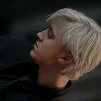 มัลฟอย