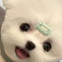แอดผีบ้า