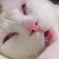 แอดไง!!!!