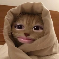 แอด¶∆¶
