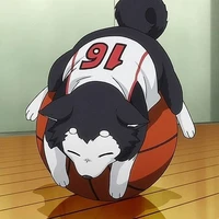 แอด