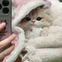 จี้จี้(แมวของจางลี่)