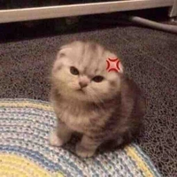 แอดดดด