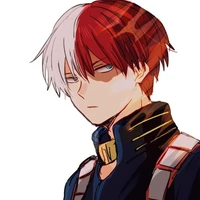 Shoto Todoroki