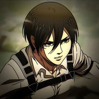 mikasa