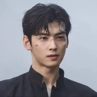 Cha Eunwoo