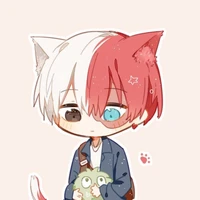 todoroki