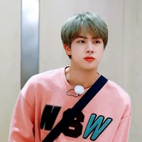 jeon seokjin