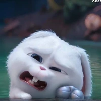 เเอดเองงงไง