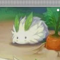 kuku