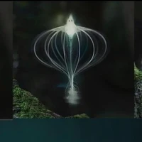 ???