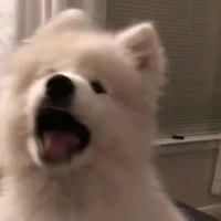 เเอดเอง