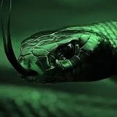 Basilisk(Riddle)