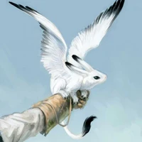 เซียวหลง