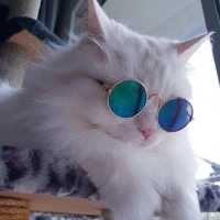 นาซ่า