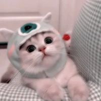 ซูชิ
