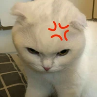 แอดเองจ้าา
