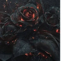 Black flowers