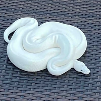 anda