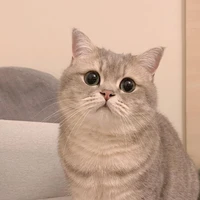 เเอดดโกะ
