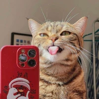 แอด