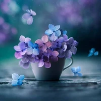 flower band