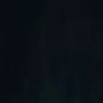 Everyone