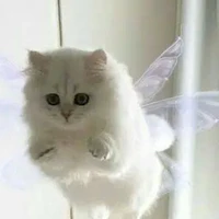 แอด