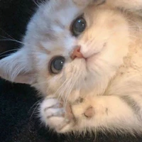 ลูคัส
