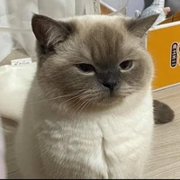 เฮเลน