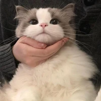 คันนะ