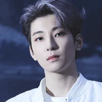 Wonwoo