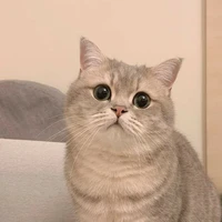 เบ(ส.ล)