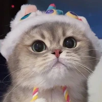 🐱น้อนเหมียว[แอด]🐈