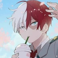 Todoroki Shoto