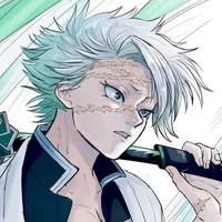 🌪️ชินาสึกาวะ ซาเนมิ🌪️(เสาหลักวายุ)