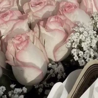 your author ♡