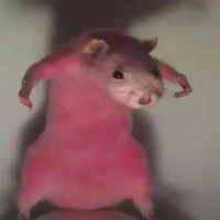 เเอด