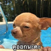 แอดจร้า