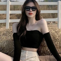 ดาวเหนือ