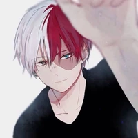 shoto todoroki