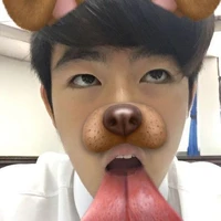 หมาชอบแมว🐶
