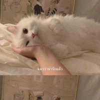 แอดเอง