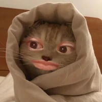 เเอดเอง