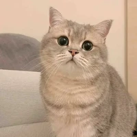 แอดเองฮ่ะ><