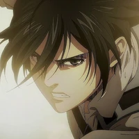 Mikasa