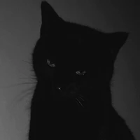 W.