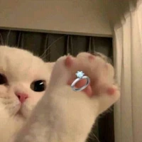 ไรท์ไรท์เอง₍ᐢ..ᐢ₎