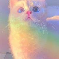 อีเเอดเองเด้ออออ